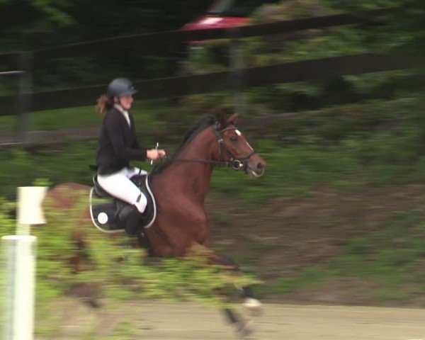 Reitturnier Iserlohn-Kalthof 2025