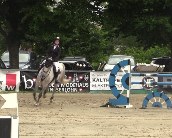 Reitturnier Iserlohn-Kalthof 2025
