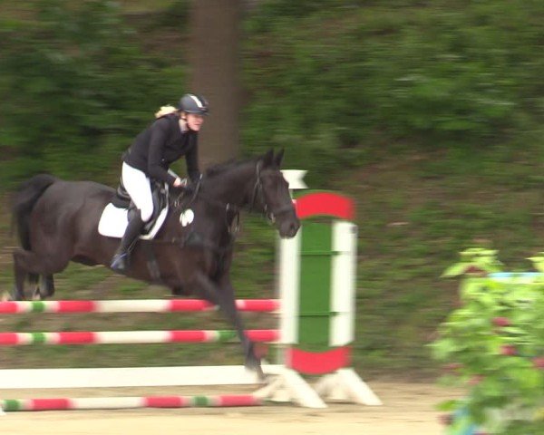Reitturnier Iserlohn-Kalthof 2025