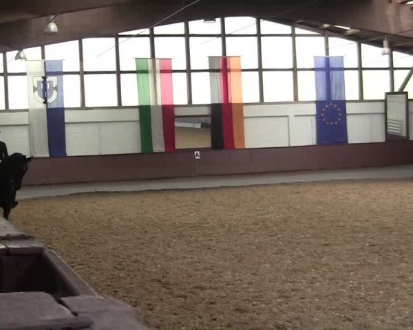 Eröffnung der grünen Saison Bottrop 2014