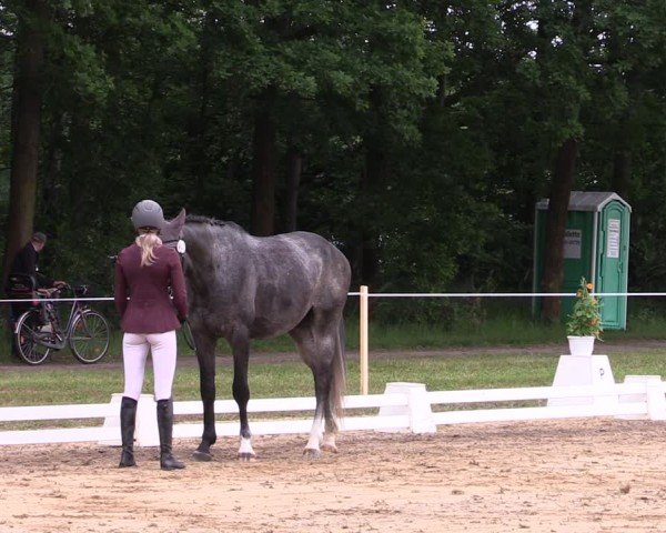 Reitturnier Horka 2025