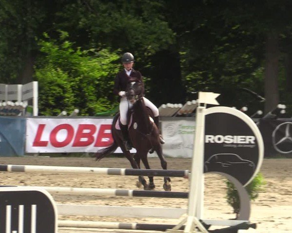 Reitturnier Iserlohn-Kalthof 2025