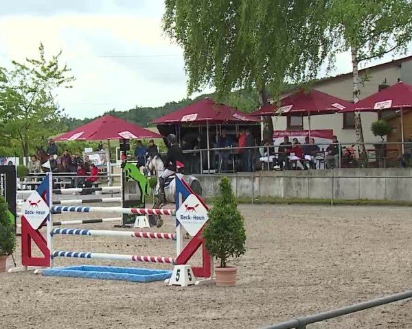 Reitturnier Landenhausen 2025