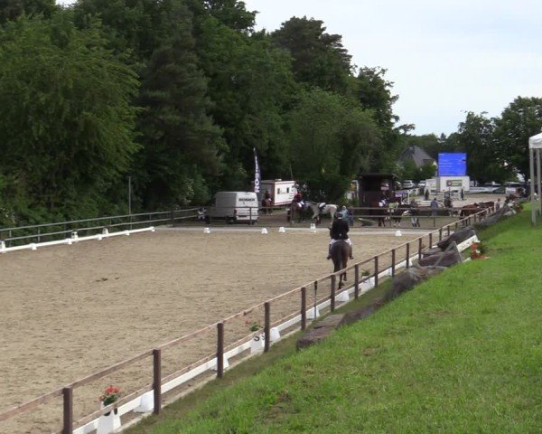Reitturnier Iserlohn-Kalthof 2025