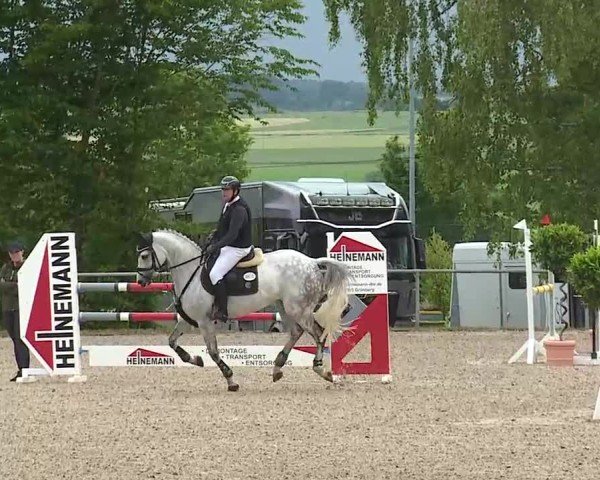 Reitturnier Landenhausen 2025