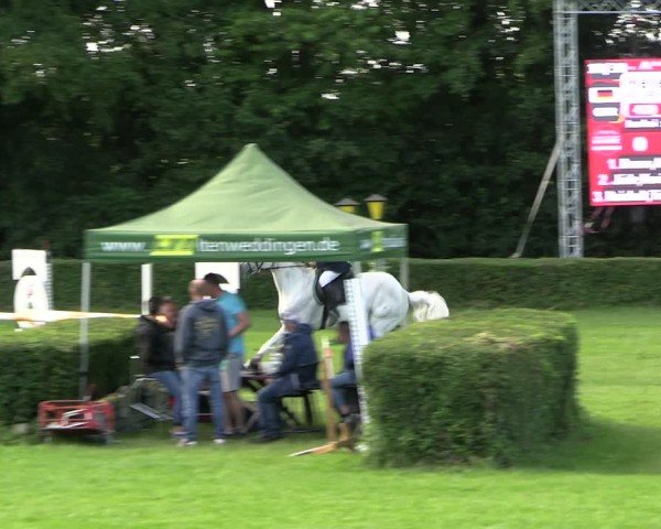 Reitturnier Westeregeln 2025