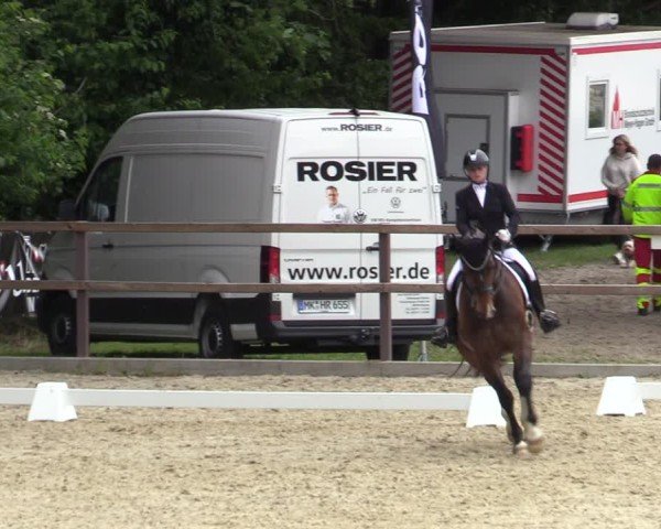 Reitturnier Iserlohn-Kalthof 2025