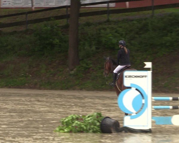 Reitturnier Iserlohn-Kalthof 2025
