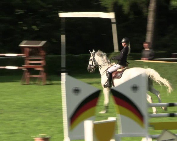 Reitturnier Westeregeln 2025