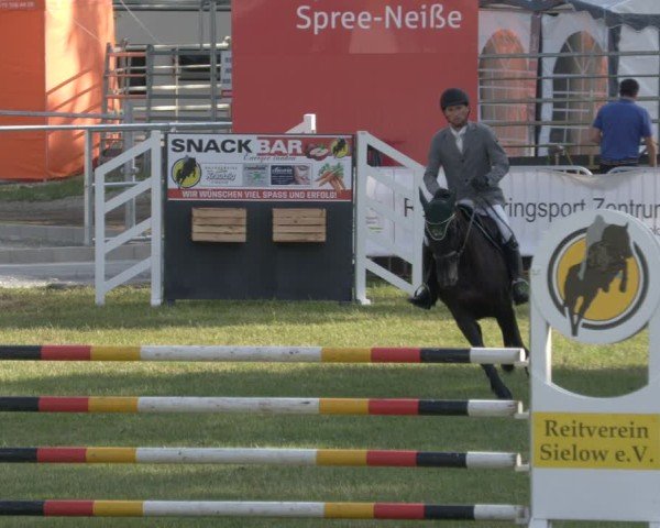 Reitturnier Cottbus-Sielow 2025
