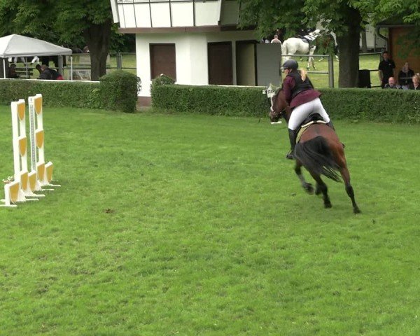 Reitturnier Westeregeln 2025