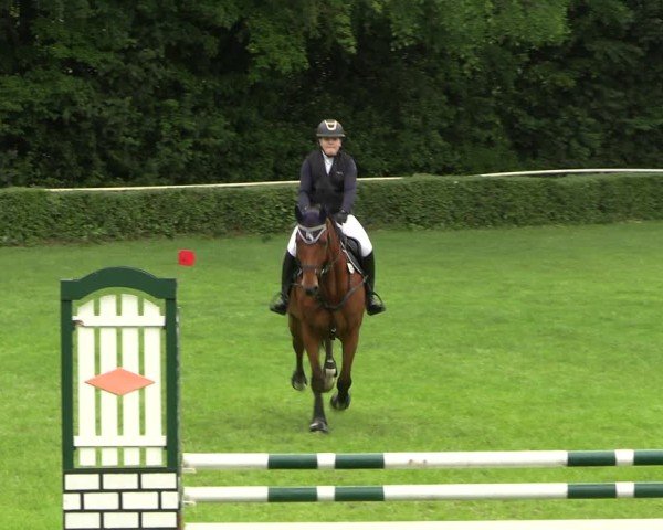 Reitturnier Westeregeln 2025