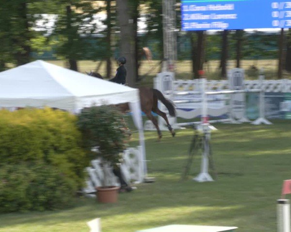 Reitturnier Cottbus-Sielow 2025