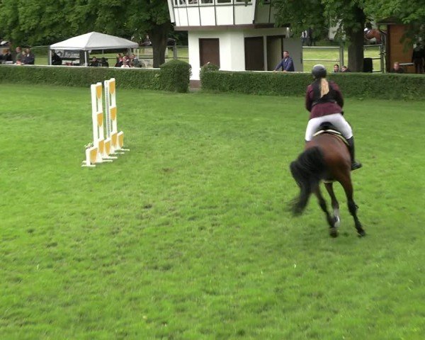 Reitturnier Westeregeln 2025