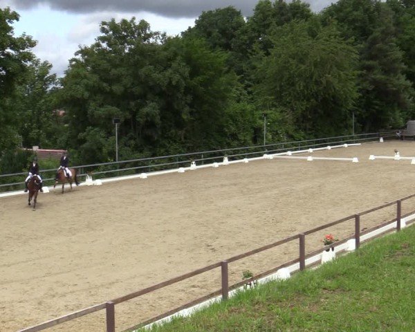 Reitturnier Iserlohn-Kalthof 2025