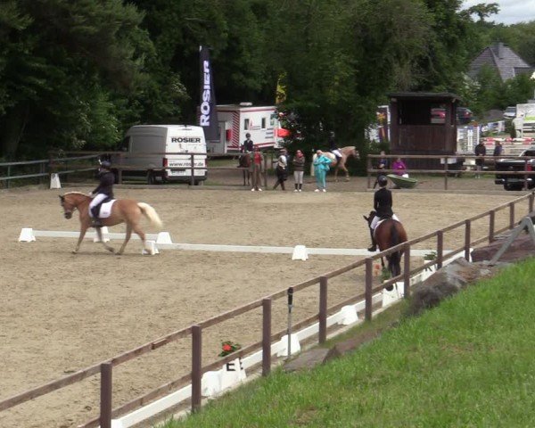 Reitturnier Iserlohn-Kalthof 2025