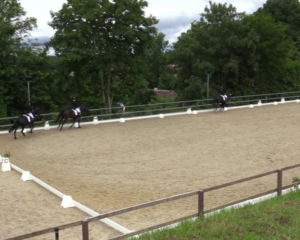 Reitturnier Iserlohn-Kalthof 2025