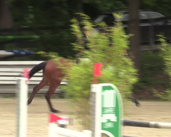 Reitturnier Iserlohn-Kalthof 2025