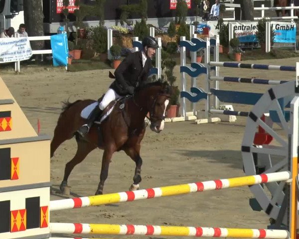 Lenklarer Reitertage 2014