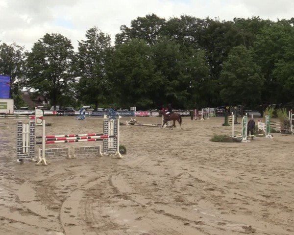Reitturnier Iserlohn-Kalthof 2025