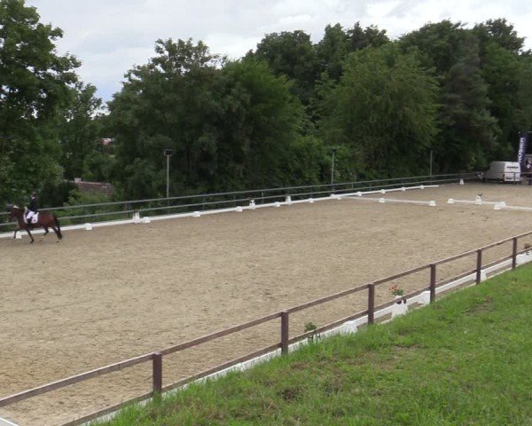Reitturnier Iserlohn-Kalthof 2025