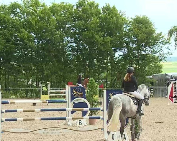 Reitturnier Landenhausen 2025