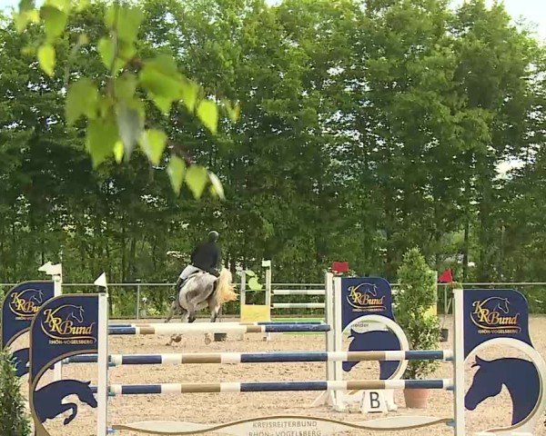 Reitturnier Landenhausen 2025