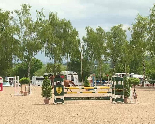 Reitturnier Landenhausen 2025