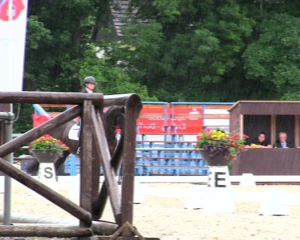 Reitturnier Taufkirchen-Vils/Obb. 2025