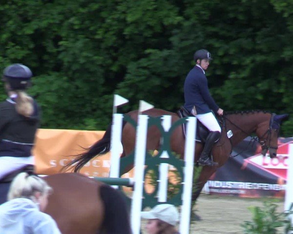 Reitturnier Siegen-Weidenau 2025