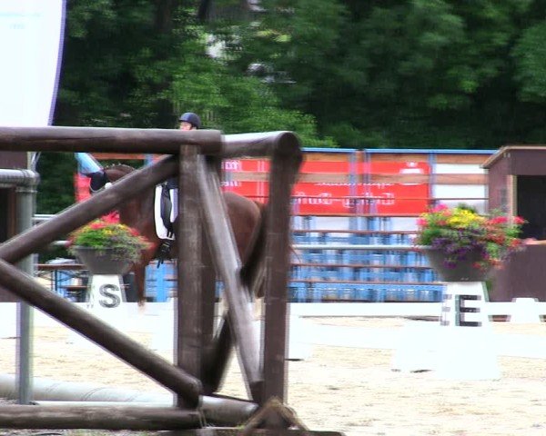 Reitturnier Taufkirchen-Vils/Obb. 2025