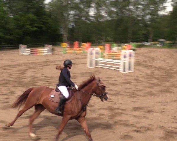 Reitturnier Langenleuba - Oberhain 2025