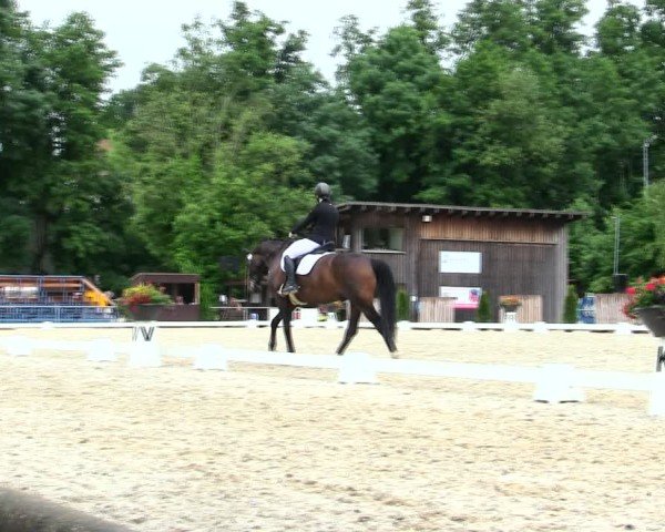 Reitturnier Taufkirchen-Vils/Obb. 2025