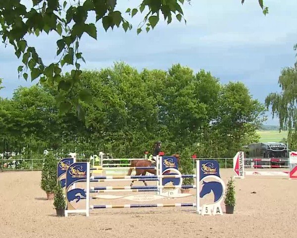 Reitturnier Landenhausen 2025