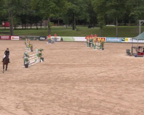Reitturnier Stadl-Paura 2025
