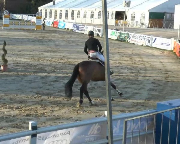 Jezdecký turnaj Werne-Lenklar 2014