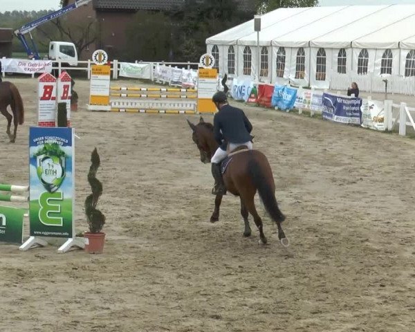 Lenklarer Reitertage 2014
