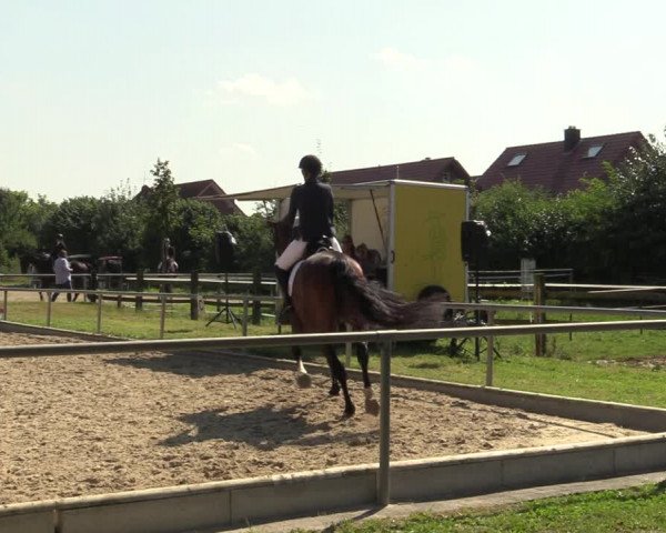 Reitturnier Ascheberg 2021