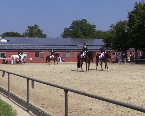 Reitturnier Ascheberg 2021