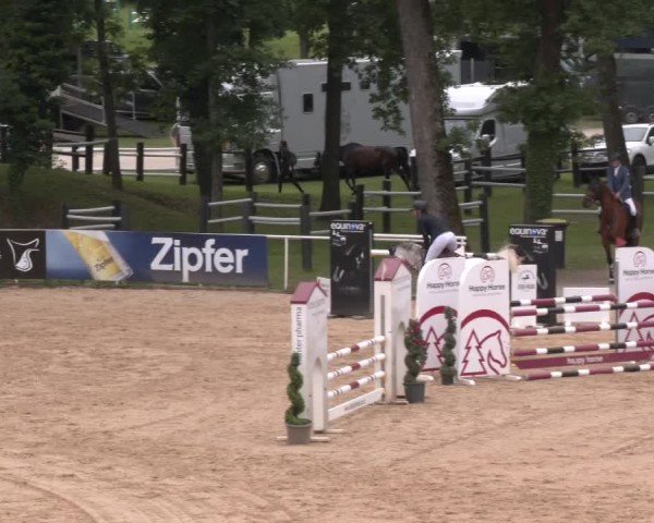 Reitturnier Stadl-Paura 2025