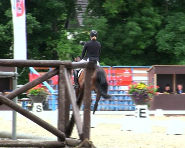 Reitturnier Taufkirchen-Vils/Obb. 2025