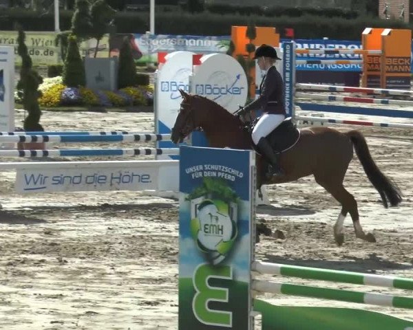 Reitturnier Werne-Lenklar 2014