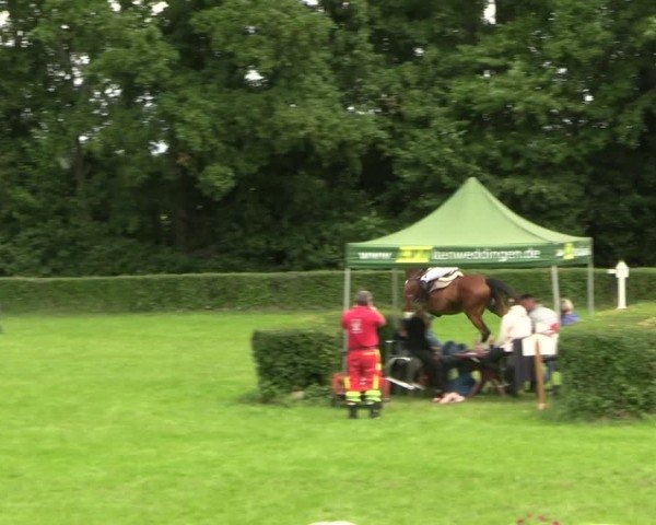 Reitturnier Westeregeln 2025