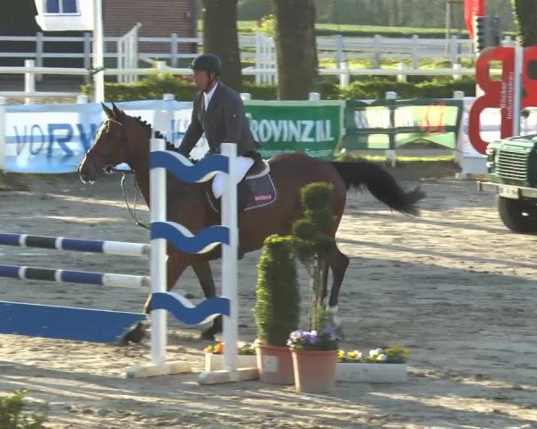 Reitturnier Werne-Lenklar 2014