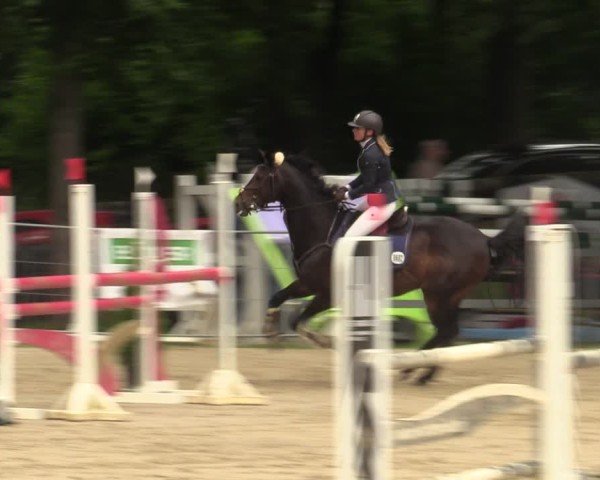 Reitturnier Iserlohn-Kalthof 2025