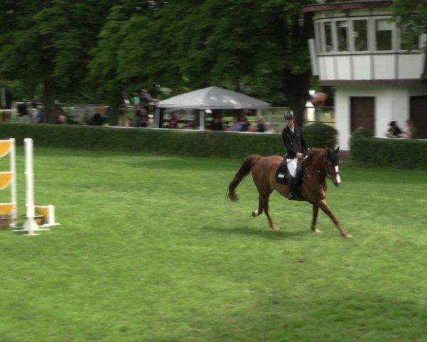 Reitturnier Westeregeln 2025