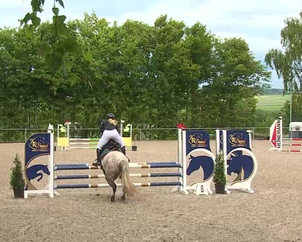 Reitturnier Landenhausen 2025