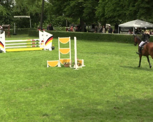 Reitturnier Westeregeln 2025