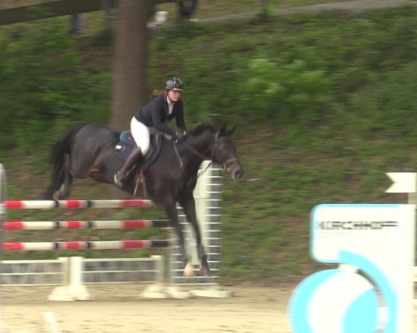Reitturnier Iserlohn-Kalthof 2025