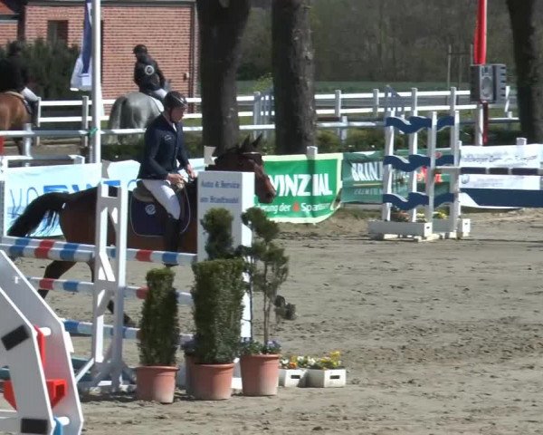 Reitturnier Werne-Lenklar 2014